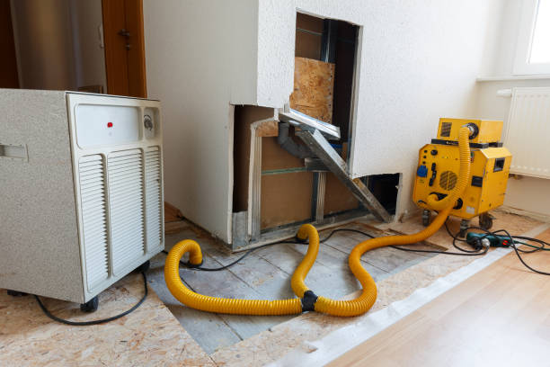 Mold Documentation for Insurance Claims